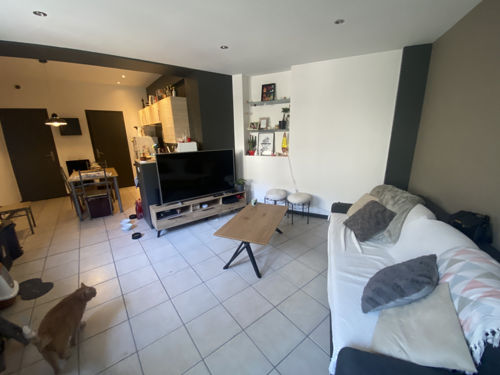 Image_, Appartement, Sully-sur-Loire, ref :28